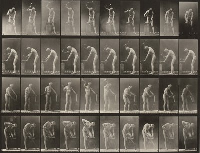 Plate Number 491. A, B: Hammering at an Anvil. C: Using a Hatchet. D: Sawing a Board by Eadweard Muybridge