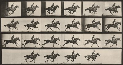 Plate Number 625. "Bouquet" Galloping by Eadweard Muybridge