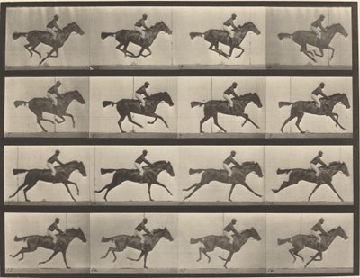 Plate Number 626. Gallop, thoroughbred bay mare, Annie G. by Eadweard Muybridge