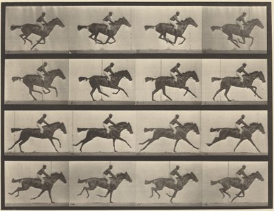 Plate Number 626. Gallop, Thoroughbred Bay Mare, Annie G. by Eadweard Muybridge
