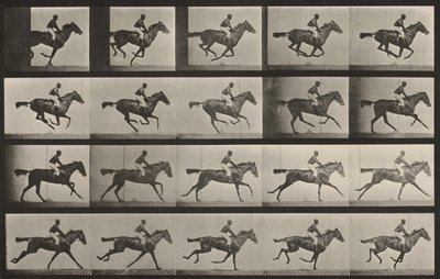 Plate Number 627. "Annie G." Galloping by Eadweard Muybridge