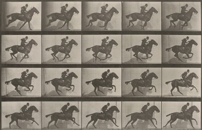 Plate Number 628. "Daisy" Galloping by Eadweard Muybridge