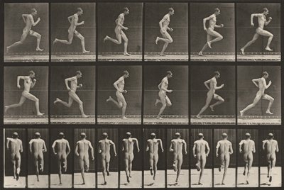 Plate Number 62. Running at Full Speed by Eadweard Muybridge