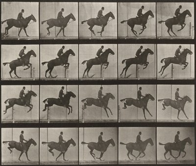 Plate Number 639. "Daisy" Jumping a Hurdle, Saddled by Eadweard Muybridge