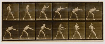 Pugilist Striking a Blow, from the book Animal Locomotion by Eadweard Muybridge