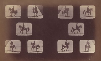 Studies of Foreshortenings. Horses. Walking. Mahomet. Nos. 119-120 by Eadweard Muybridge