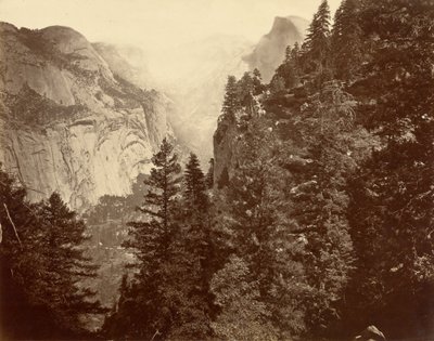 Tenaya Canyon from Union Point, Valley of the Yosemite by Eadweard Muybridge