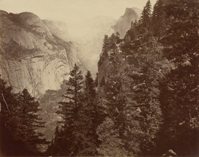 Tenaya Canyon from Union Point, Valley of the Yosemite by Eadweard Muybridge