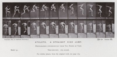 The Human Figure in Motion: Athlete, a straight high jump by Eadweard Muybridge