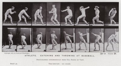 The Human Figure in Motion: Athlete, catching and throwing at baseball by Eadweard Muybridge