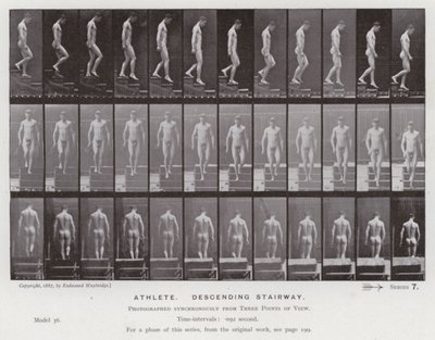 The Human Figure in Motion: Athlete, descending a stairway by Eadweard Muybridge