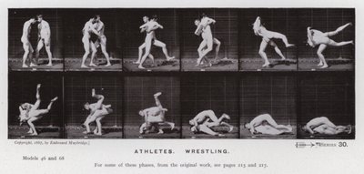 The Human Figure in Motion: Athletes, Wrestling by Eadweard Muybridge