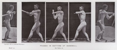 The Human Figure in Motion: Phases in batting at baseball by Eadweard Muybridge