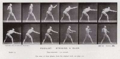 The Human Figure in Motion: Pugilist, Striking a Blow by Eadweard Muybridge