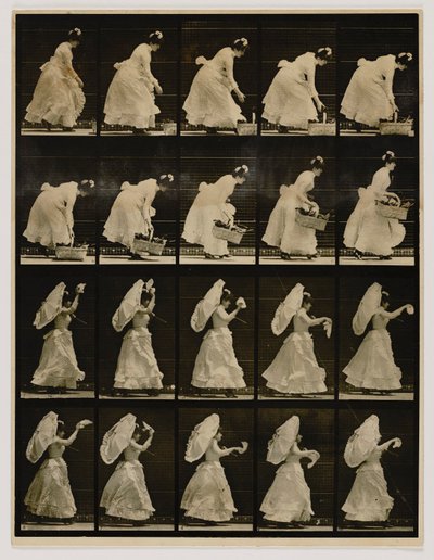 Woman Lifting a Basket, Waving a Handkerchief, from the Book Animal Locomotion by Eadweard Muybridge