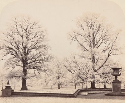 Hoarfrost, a Park Scene by Earl of Caithness James Sinclair