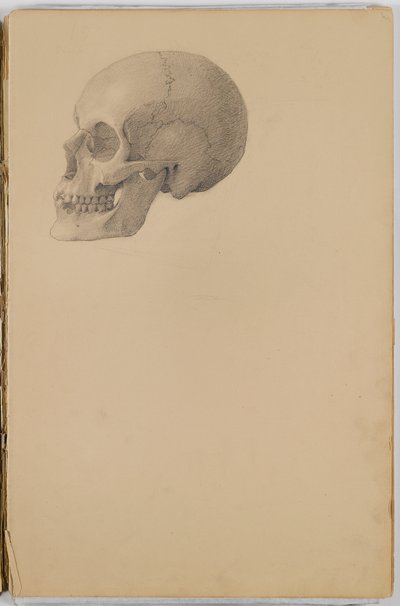 Anatomy Sketch Book by Eastman Johnson