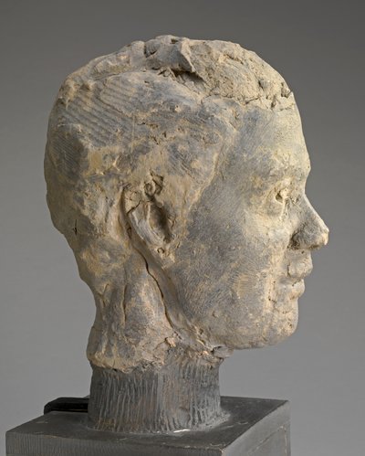 Head, Study for a Portrait of Mme Salle by Edgar Degas