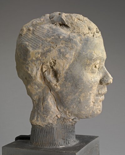 Head, Study for a Portrait of Mme Salle, c. 1892 by Edgar Degas