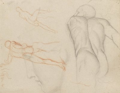 Studies of 