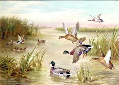Ducks in Flight by Edgar Hunt