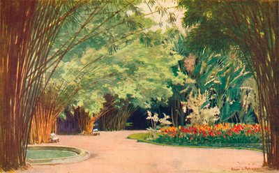 A Bamboo Grove - Botanical Gardens by Edgar L. Pattison