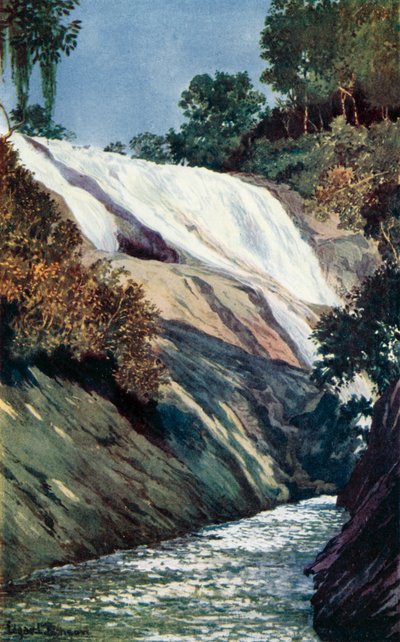 A Cascade at Tijuca, Rio by Edgar L. Pattison