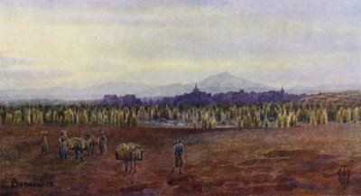 Northern Spain: Benavente, From Above the Bridge of Castro Gonzalo by Edgar T. A. Wigram