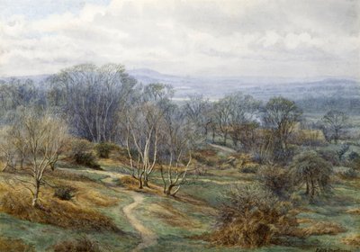 Hampstead Heath Looking Towards Harrow on the Hill, 1880 by Edith Martineau