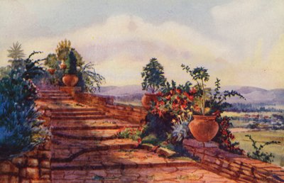 The Steps at Government House, Pretoria by Edith Struben