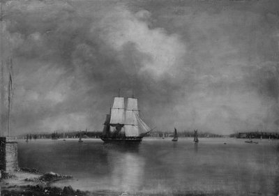 Bay and Harbor of New York from Bedlow