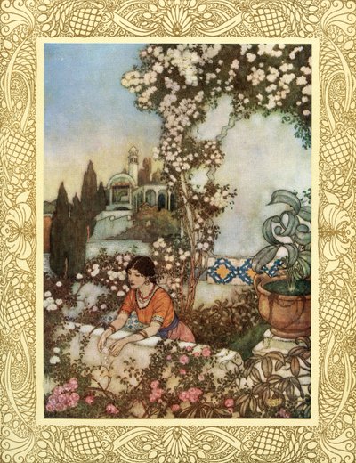 Look to the Blowing Rose About Us - 