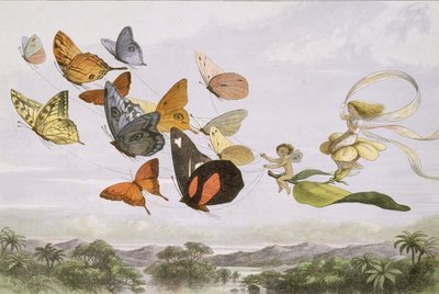 In Fairyland: A Series of Pictures from the Elf-World by Edmund Evans