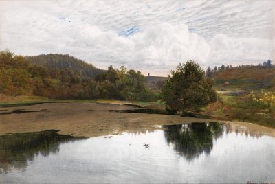 Leith Hill, from Broadmoor, Surrey by Edmund George Warren