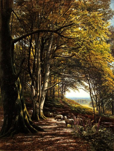 Sheep grazing in a forest clearing by Edmund George Warren