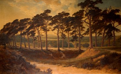 Harrow from the First, Hampstead Heath, 1875 by Edmund John Niemann
