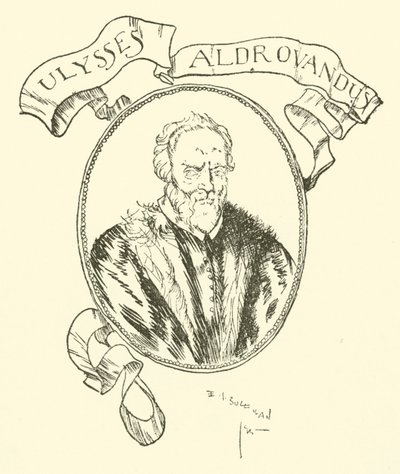 Ulysses Aldrovandus by Edmund Joseph after Sullivan