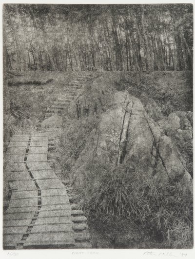 Light Trail, 1994 by Edouard Cremieux