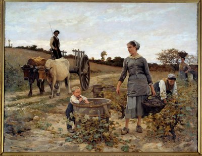 Corner of Vine in Languedoc by Edouard Debat Ponsan
