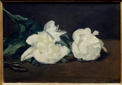 Branch of white peonies and secateur by Édouard Manet