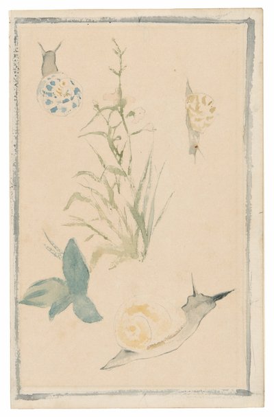 Sketches of Snails, Flowering Plant by Édouard Manet