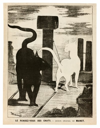 The Cats
