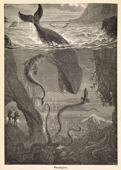 Frontispiece of Jules Verne