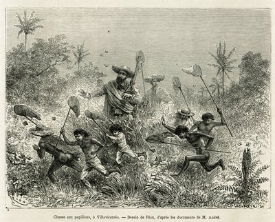 A gang of children hunted for butterflies, accompanied by the author, a Villavicensio (Colombia), drawing by Riou, to illustrate the story of Equinoxiale America (Colombia, Ecuador, Peru), in 1875-1876, by Ed. andre, traveller in charge of mission by the F by Edouard Riou