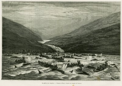 Dolphin fishing. Engraving by Riou to illustrate the story 