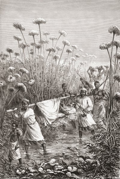 Dr. David Livingstone being carried the last few miles to the village of Tchitammbo, Africa, shortly before his death, illustration from 