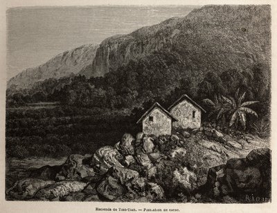 Hacienda by Tian Tian, Peru and cocoa plantation, drawing by Riou, to illustrate Paul Marcoy