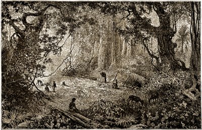 Installation of an explorers