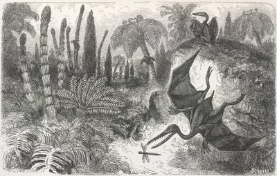 Landscape of the Liasic period (Illustration depicting a Pterodactyl) by Edouard Riou