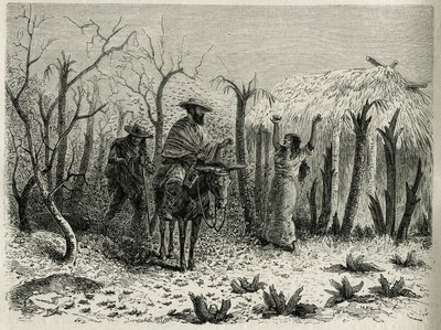 The Clouds of Grasshoppers of the Upper Patia Valley (engraving by Riou, to illustrate the story 